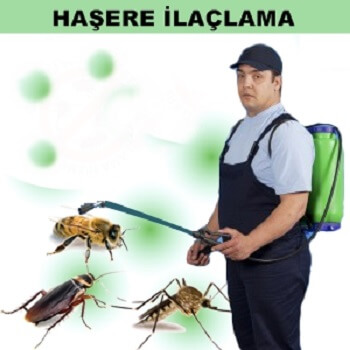 Ayvalık Böcek İlaçlama